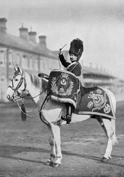 Plum Duff, le cheval de tambour des Royal Scots Greys, 1896 - Gregory and Co