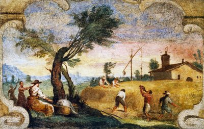 La moisson, fresque de Giovanni Francesco Barbieri, dit il Guercino (1591-1666) - Guercino