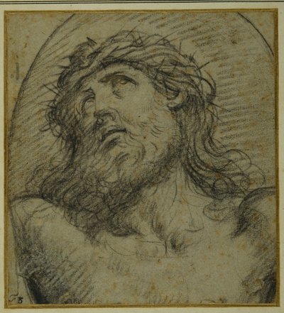 Tête et épaules du Christ vivant crucifié - Guido Reni