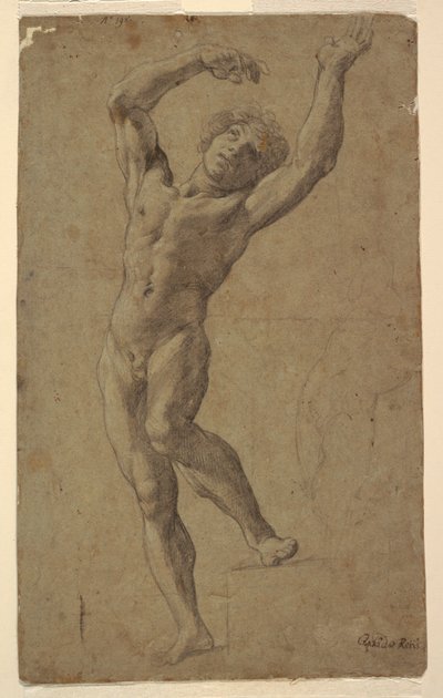 Étude pour Saint Sébastien, Museo Pomarici Santomasi, Pouilles, Italie - Guido Reni