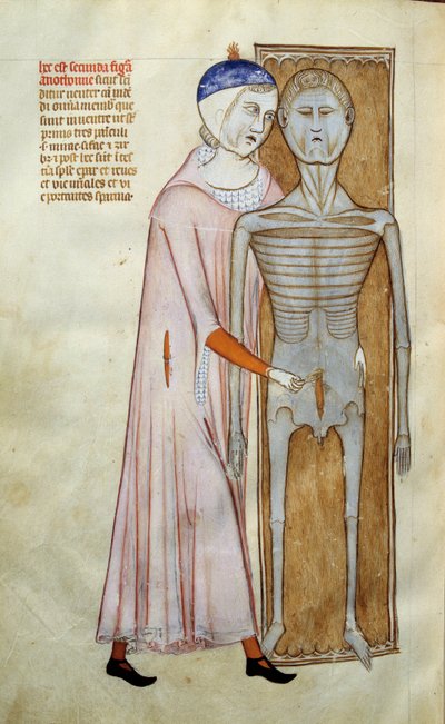 Médecine : planche anatomique et chirurgicale représentant une scène de dissection - Guido da Vigevano da Pavia