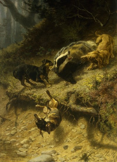 Teckels sur un Blaireau, 1882 - Guido von Maffei