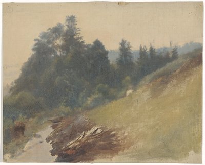 Pente de montagne avec des pins - Guillaume Anne van der Brugghen