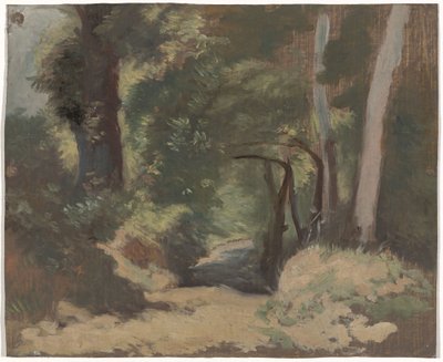 Chemin forestier - Guillaume Anne van der Brugghen