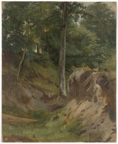 Ruisseau asséché dans la forêt - Guillaume Anne van der Brugghen