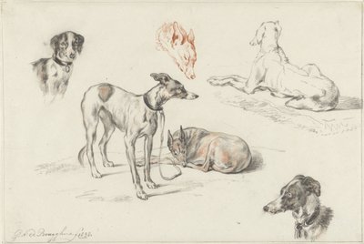 Études de chiens - Guillaume Anne van der Brugghen
