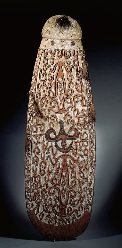 Bouclier Asmat ovale, sculpté en relief avec des ornements en volutes incorporant des figures hautement stylisées, franges tressées à la bordure - Guinean New