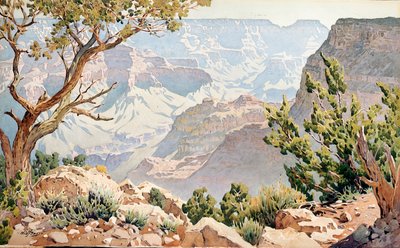 Grand Canyon - Gunnar Widforss