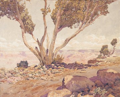 Grand Canyon - Gunnar Widforss