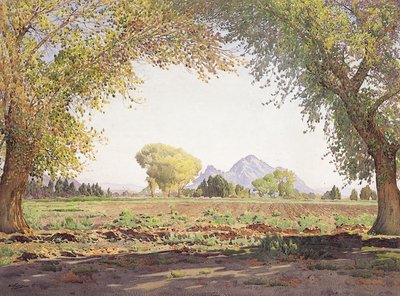 La Vallée de la Salt River - Gunnar Widforss