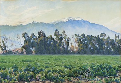 Les montagnes de la Sierra Nevada - Gunnar Widforss