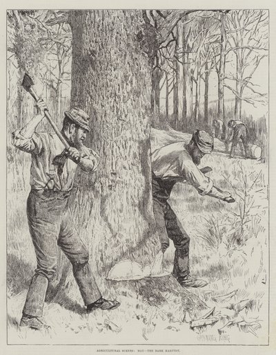 Scènes agricoles, Mai, la récolte de l