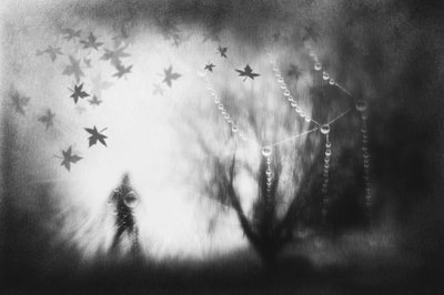  - Gustav Davidsson