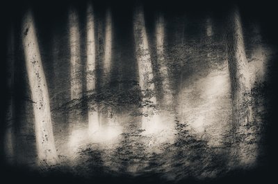  - Gustav Davidsson