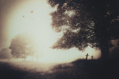  - Gustav Davidsson