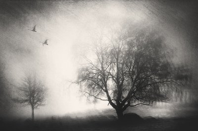  - Gustav Davidsson