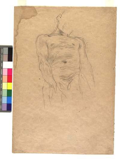 Torse masculin - Gustav Klimt