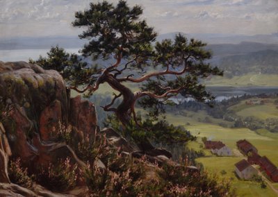 Vue sur Vardåsen - Gustav Wentzel
