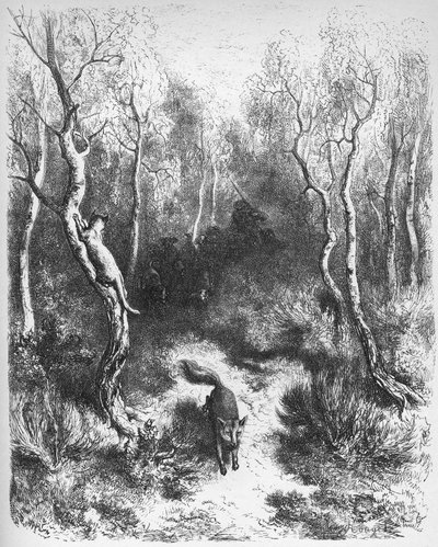 Le chat et le renard - des 