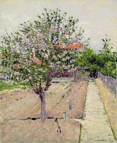 Pommier en fleurs, c.1885 - Gustave Caillebotte