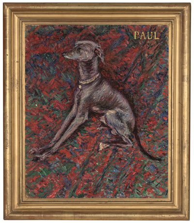 Le chien 