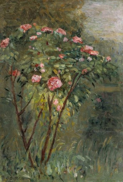 Le rosier - Gustave Caillebotte