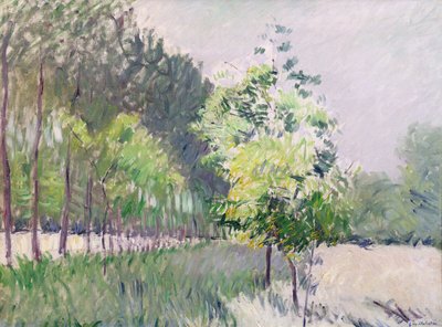 Verger et avenue d