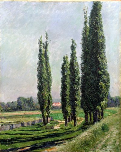 Peupliers sur la rive à Argenteuil - Gustave Caillebotte