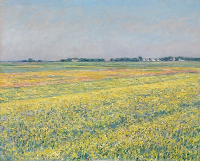 La plaine de Gennevilliers, les champs jaunes - Gustave Caillebotte