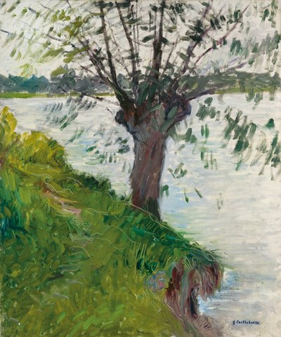 Saule au bord de la rivière, vers 1891 - Gustave Caillebotte