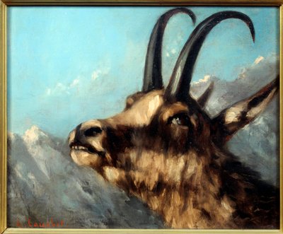 Tête de chamois - Gustave Courbet