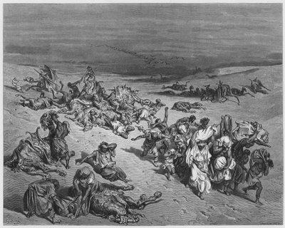 Gustave Doré Bible : La peste des bêtes - Gustave Dore