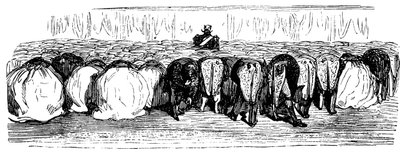 Histoire de la Sainte Russie. Un grand bal au Palais d