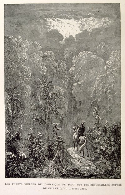 Illustration de la forêt américaine. de La légende de Croque-Mitaine. - Gustave Dore