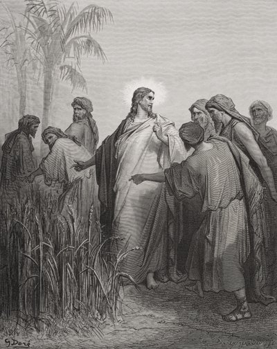 Jésus et ses disciples dans le champ de blé, illustration de 