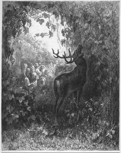 Le cerf et la vigne - des "Fables" de Jean de La Fontaine - Gustave Dore
