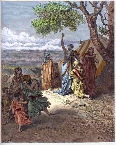 Noé maudit Cham - Patriarche Noé maudit son petit-fils Canaan, pour une faute commise par son père Cham sur le mont Ararat - gravure dans « La Bible illustrée » par Gustave Doré (1832-1883) - Gustave Dore