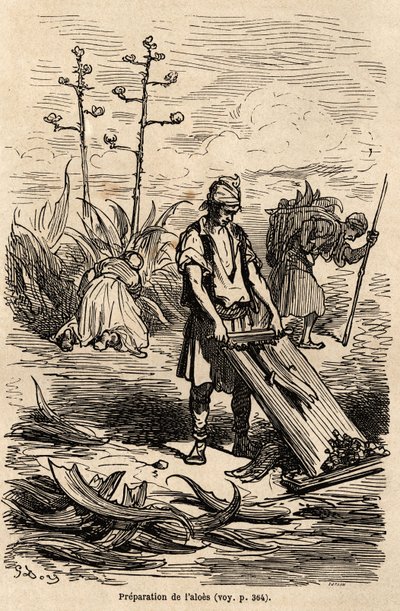 Préparation de l