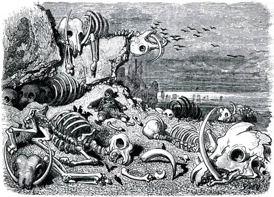 Sindbad le marin - conte des mille et une nuits - illustration de Gustave Doré - édition Maxwell 1865 - Septième et dernier voyage : le cimetière des éléphants où Sindbad récupérera les défenses en ivoire - Gustave Dore