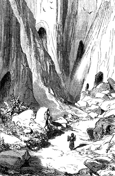Sindbad le marin - conte des mille et une nuits - illustration de Gustave Doré - édition Maxwell 1865 - Deuxième voyage : Sindbad découvre une vallée avec des diamants, mais malheureusement occupée par des serpents géants - Gustave Dore