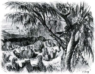 Sindbad le marin - conte des mille et une nuits - illustration de Gustave Doré - édition Maxwell 1865 - Septième voyage : Sindbad, perché dans un arbre, tire avec son arc sur des éléphants - Gustave Dore
