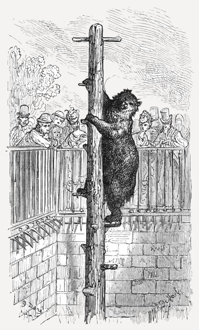 La fosse aux ours - Jardins zoologiques, 1872 - Gustave Dore