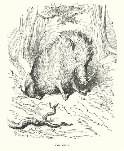 Le sanglier (gravure) - Gustave Dore