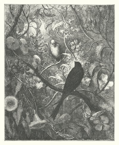 Les Fables de La Fontaine : Philomèle et Progne - Gustave Dore