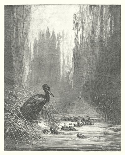 Les Fables de La Fontaine : Le Cormoran et les poissons - Gustave Dore