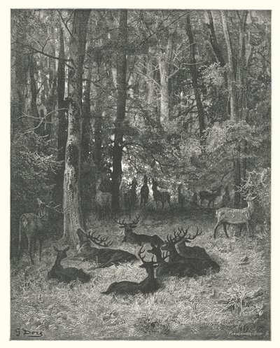 Les Fables de La Fontaine : Le Cerf malade (gravure) - Gustave Dore