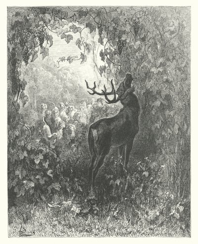 Les Fables de La Fontaine : Le Cerf et la Vigne (gravure) - Gustave Dore