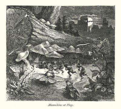 Le château des Mannikins (gravure) - Gustave Dore