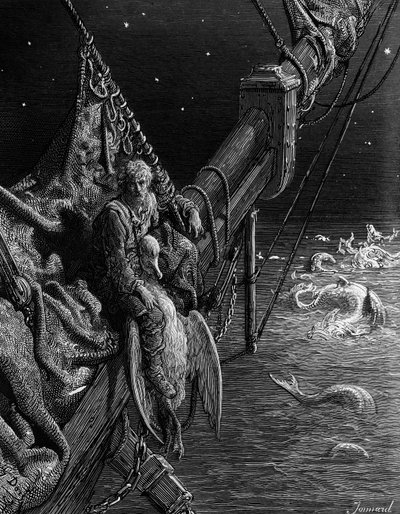 Le Marin regarde les serpents dans l