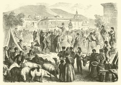 Foire annuelle de la ville d